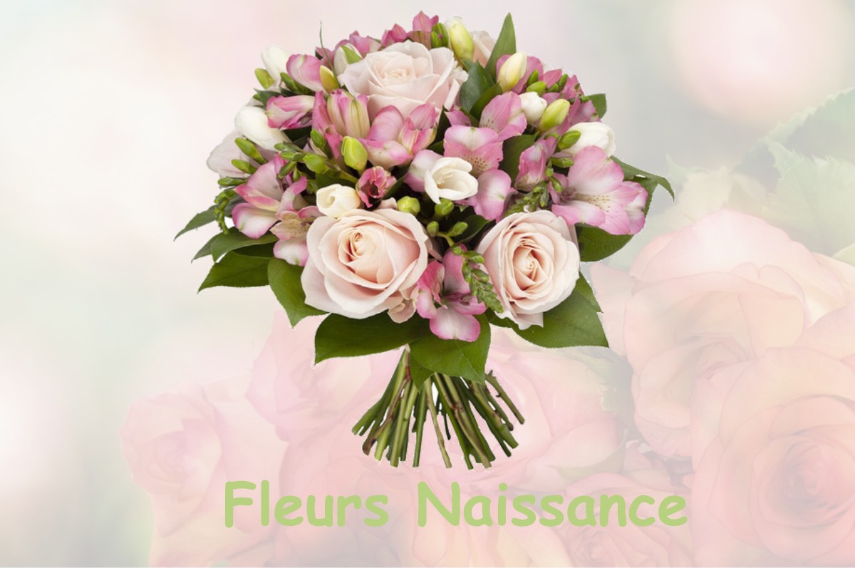 fleurs naissance VEZERONCE-CURTIN