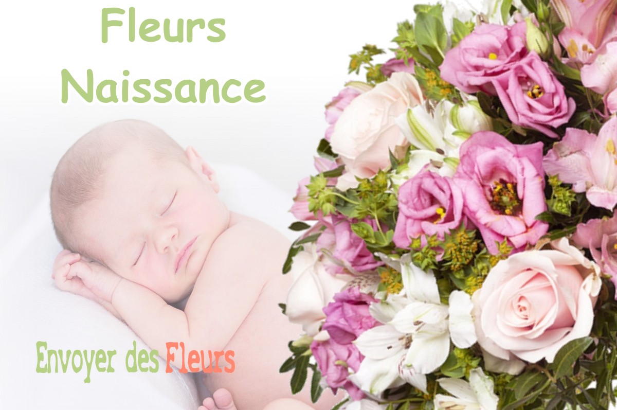 lIVRAISON FLEURS NAISSANCE à VEZERONCE-CURTIN